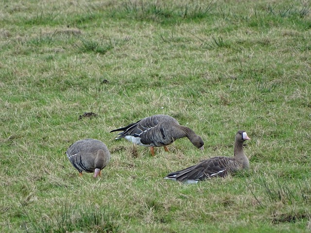 实时有效的 实时有效的
