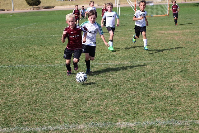 为比赛带来 为比赛带来