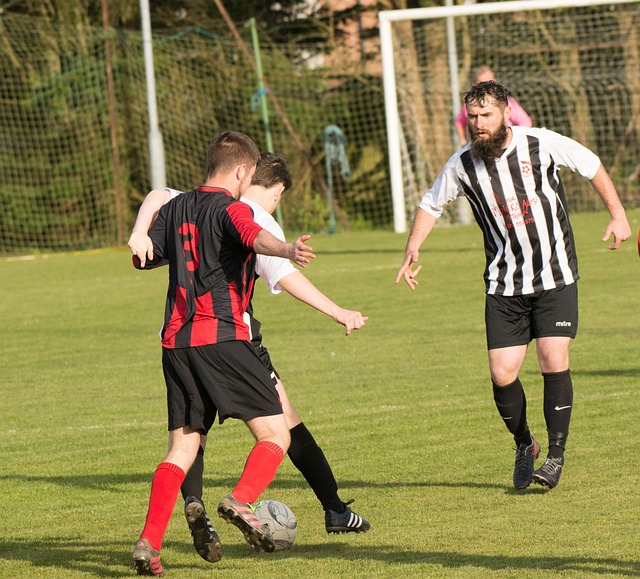 在团队文化 在团队文化