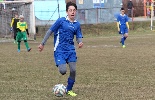 球賽場上的 球賽場上的