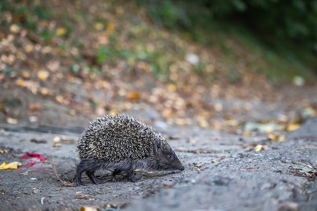 一場爆冷的 一場爆冷的