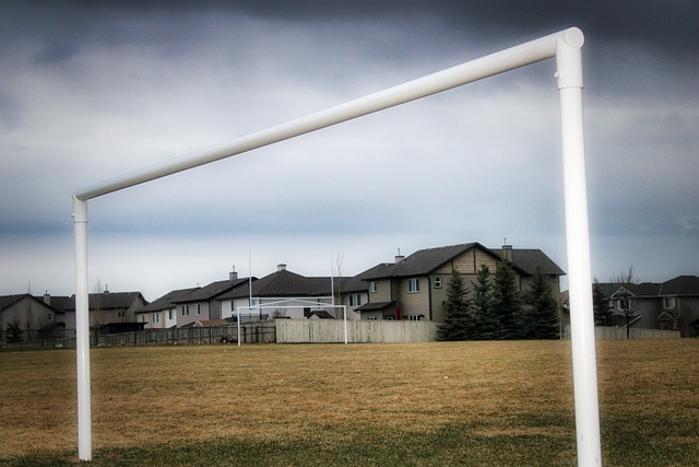 這粒進球之 這粒進球之